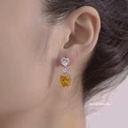 Crystal dropped earrings